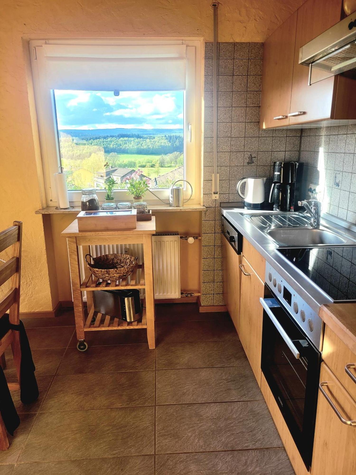 Ferienhaus Wilder Hunsrueck Schmissberg Eksteriør billede